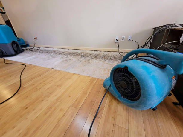 Professional Sewage Cleanup technician working in Reagan, TN